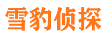 登封捉小三公司